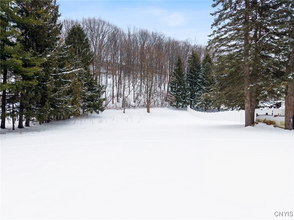 1077 Nottingham Road De Witt, NY 13078 - Photo 17 of 20