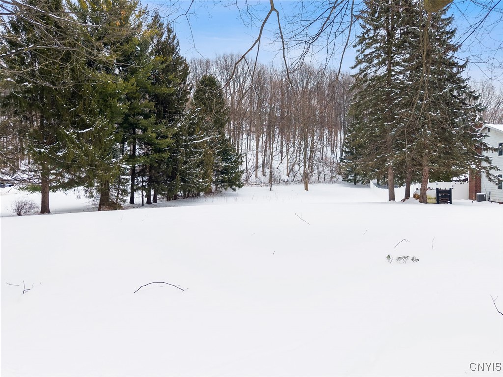 1077 Nottingham Road De Witt, NY 13078 - Photo 19 of 20