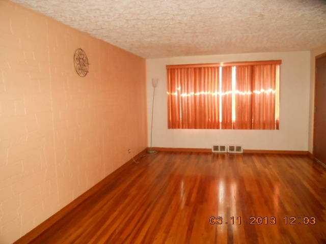 2271 East 97th Street Chicago, IL 60617 - Photo 2 of 11