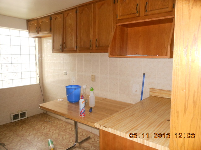 2271 East 97th Street Chicago, IL 60617 - Photo 4 of 11