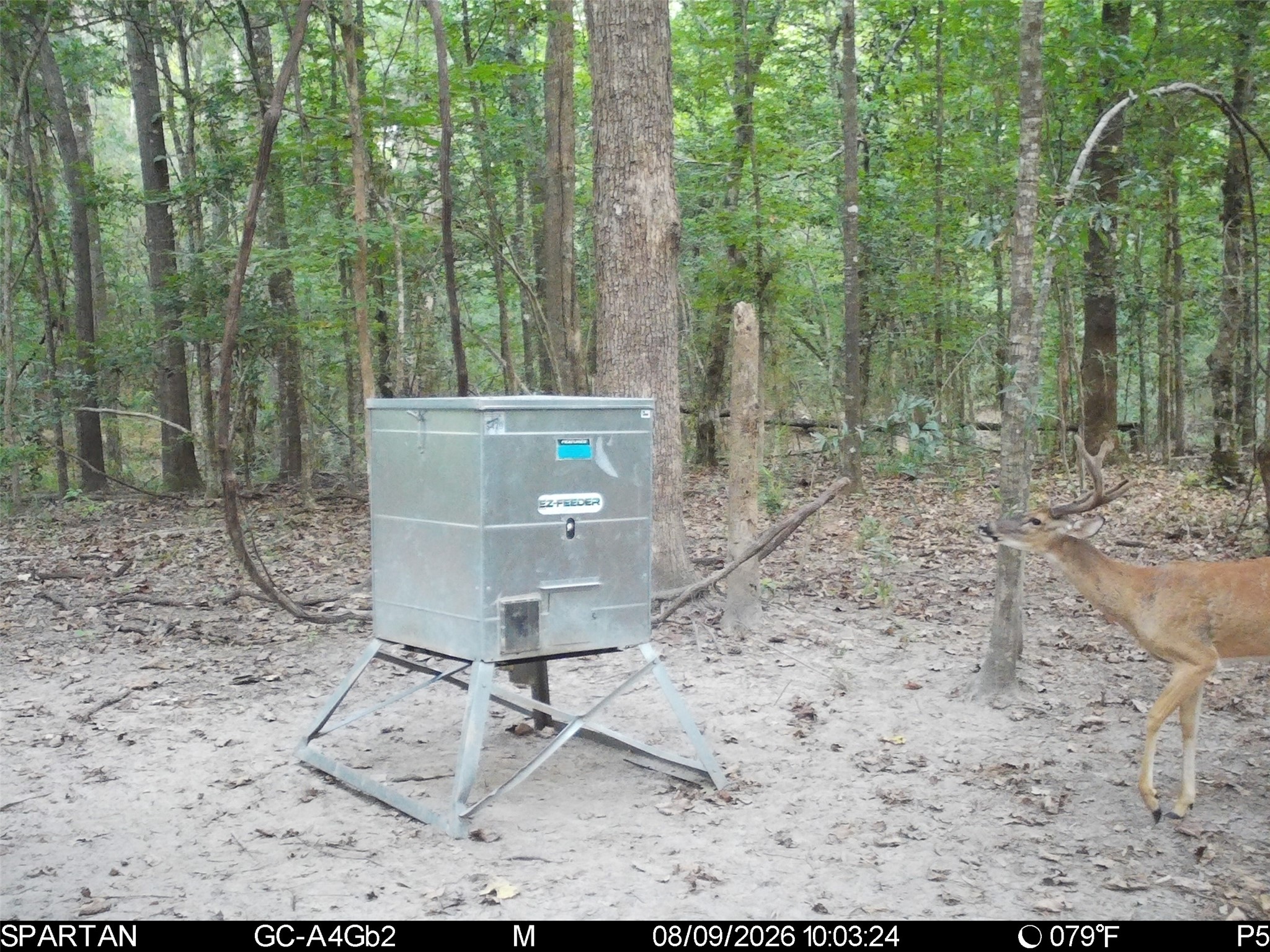 0 Weaver Bend Road Huntington, TX 75949 - Photo 32 of 36 Gallery Image 32