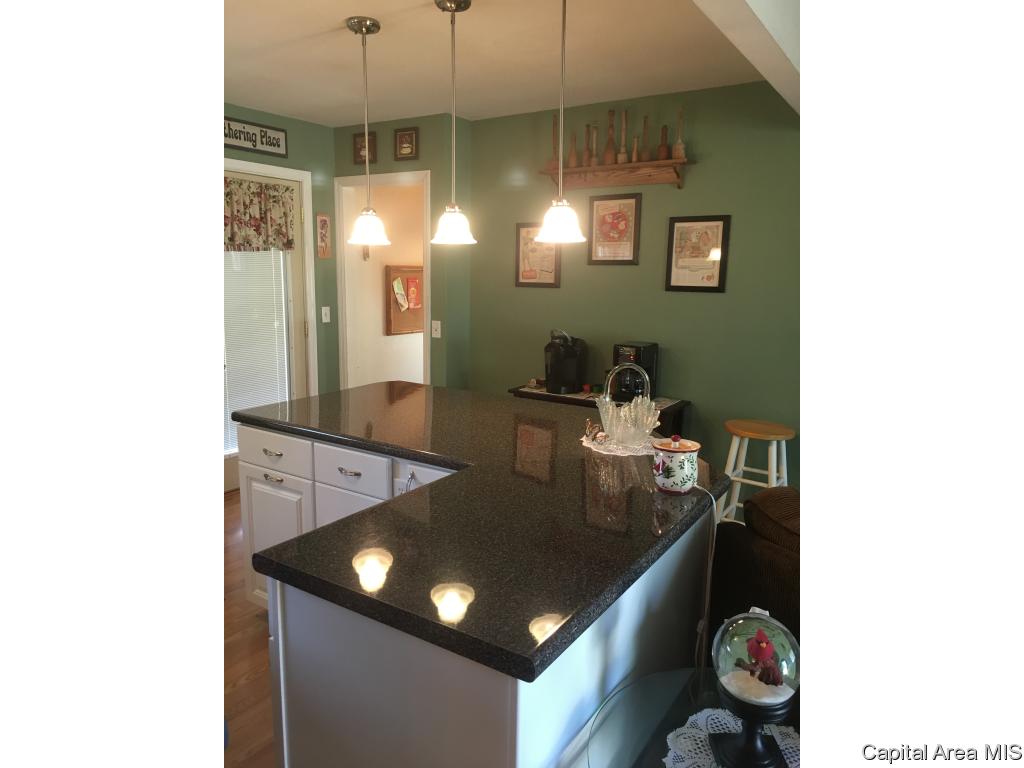 2740 Selkirk Road Springfield, IL 62702 - Photo 9 of 32