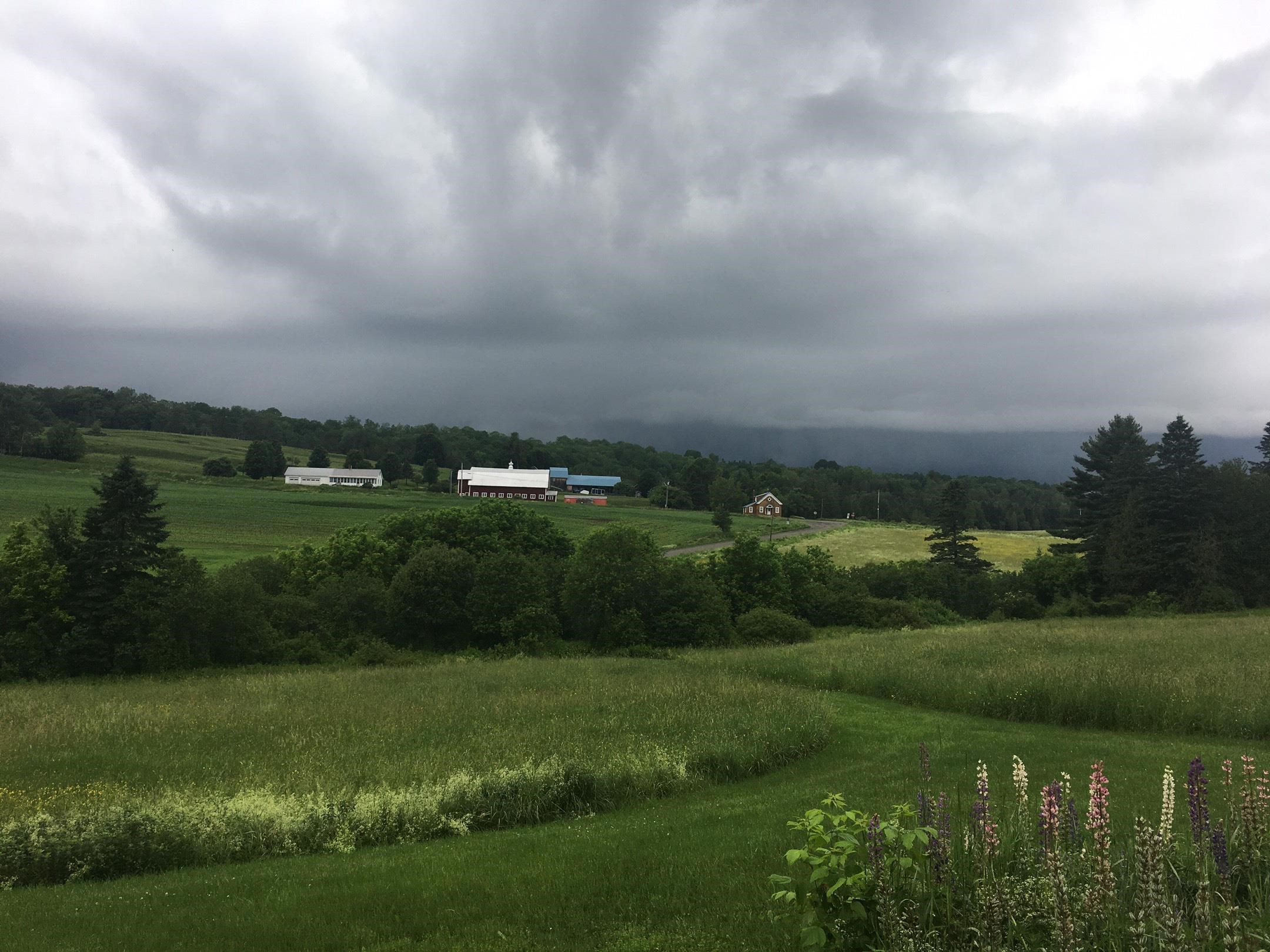 199 Hardwick Farms Road Hardwick, VT 05836 - Photo 4 of 54