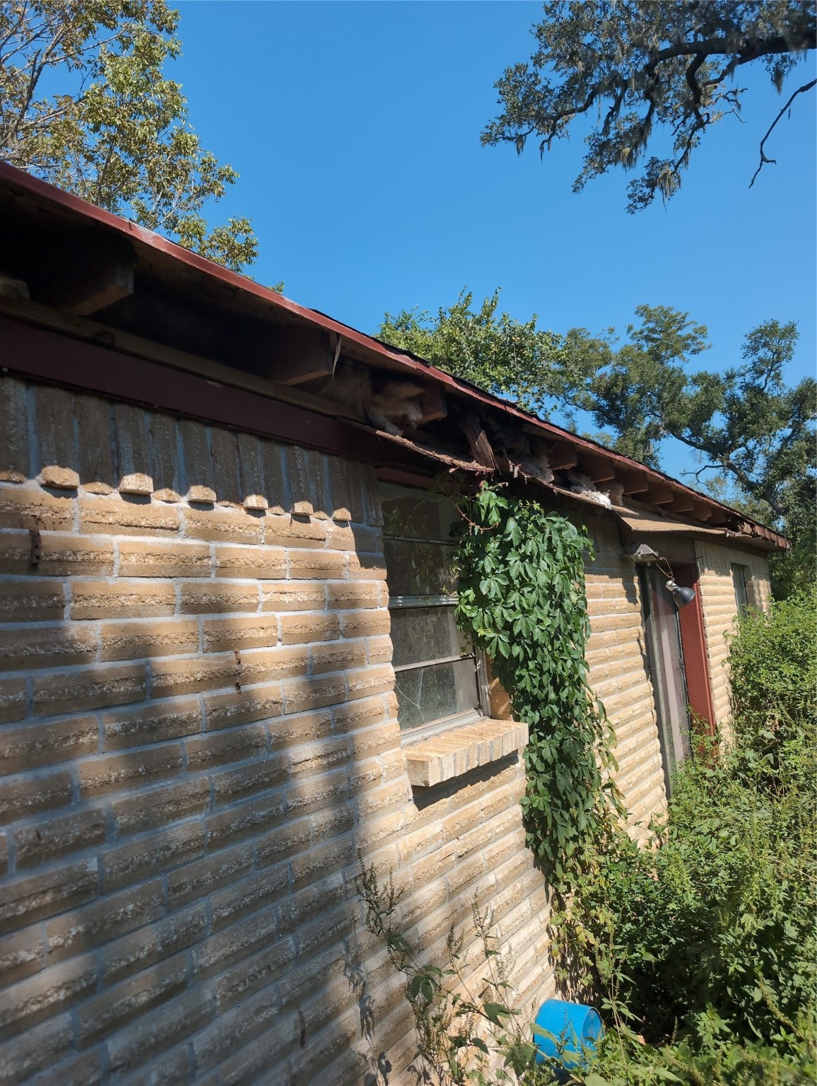 4713 Lake Drive Rosharon, TX 77583 - Photo 7 of 8 a view of outdoor space with garden