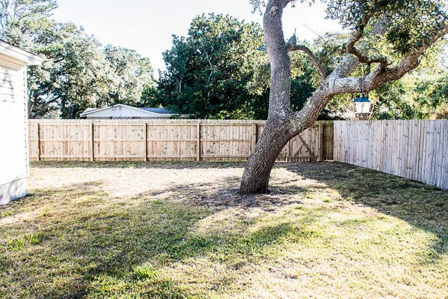 a view of a yard with a tree