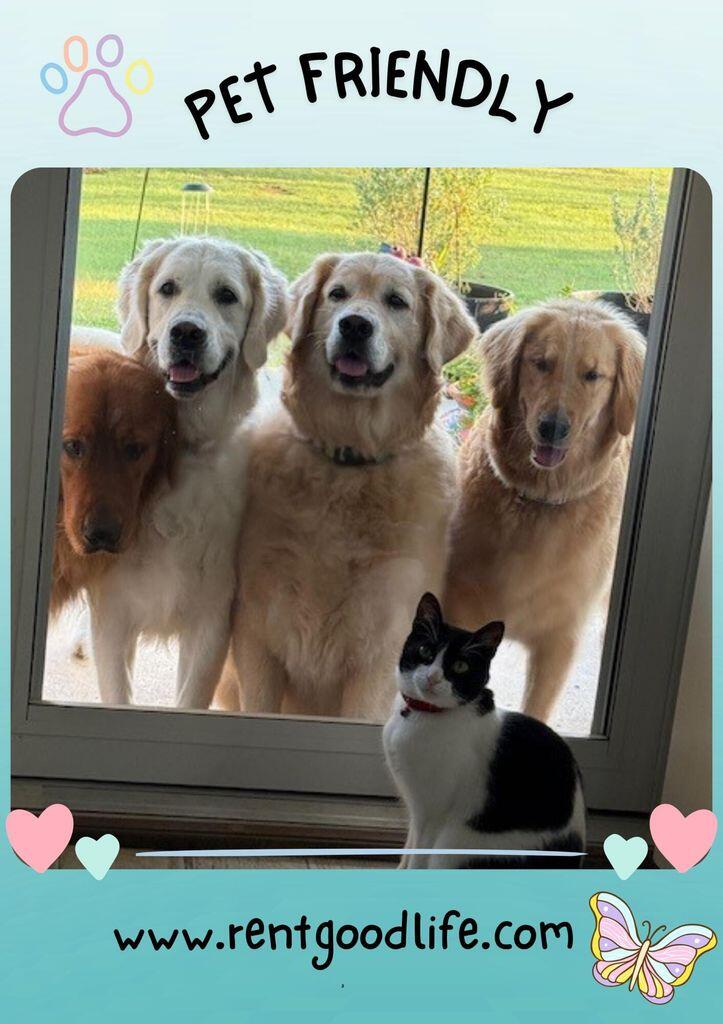 17 8th Avenue Shalimar, FL 32579 - Photo 25 of 25