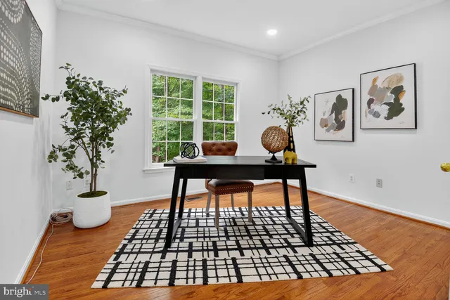 a living room with a rug and a potted plant