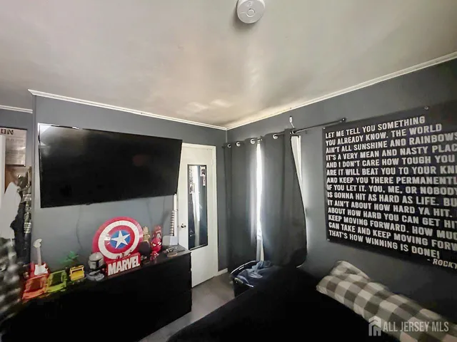 a view of a projector