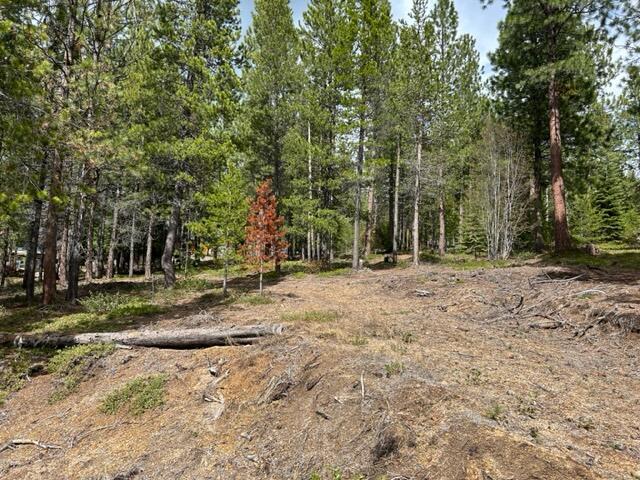 43 Clear Spring Way, Unit 43 Crescent Lake, OR 97733 - Photo 1 of 6 vacant land