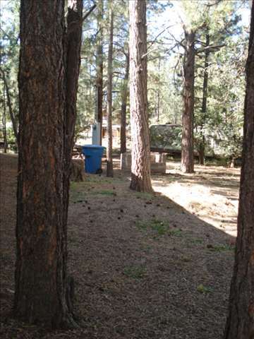6554 Lower Ridge Drive Lakeside, AZ 85929 - Photo 4 of 5 Gallery Image 4