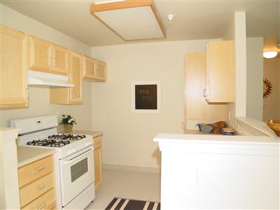 29 Giacomini Road Point Reyes Station, CA 94956 - Photo 5 of 10 Kitchen