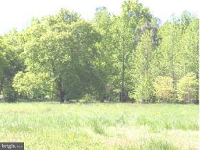 Lot #3 Briarhook Road Seaford, DE 19973 - Photo 1 of 1 Gallery Image 1