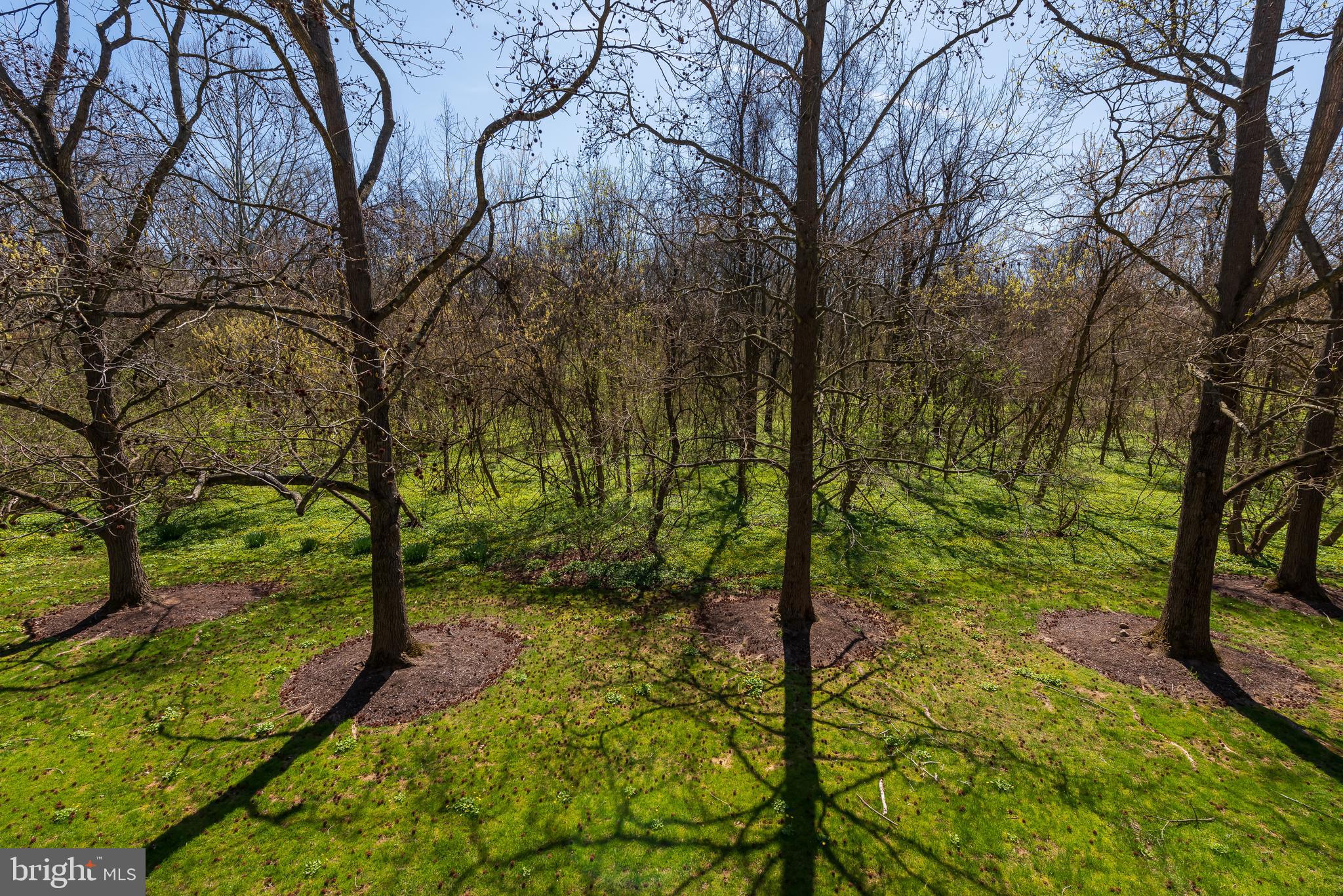 31 Rampart Drive Chesterbrook, PA 19087 - Photo 35 of 37 Gallery Image 35