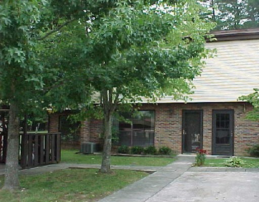Primary Photo