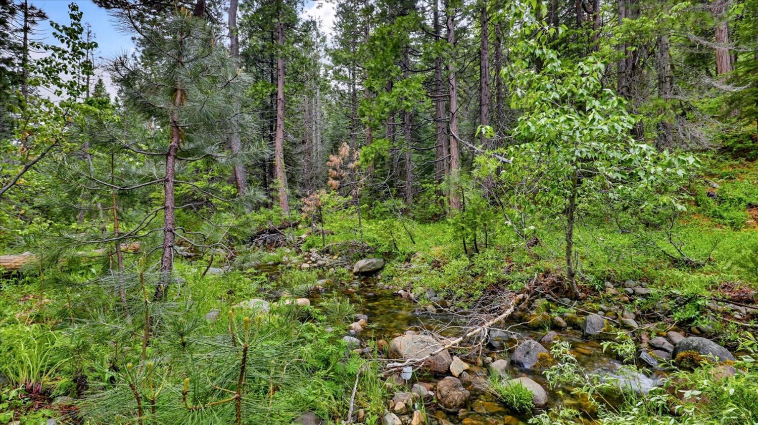 0 Texas Hill Road Emigrant Gap, CA 95715 - Photo 7 of 24