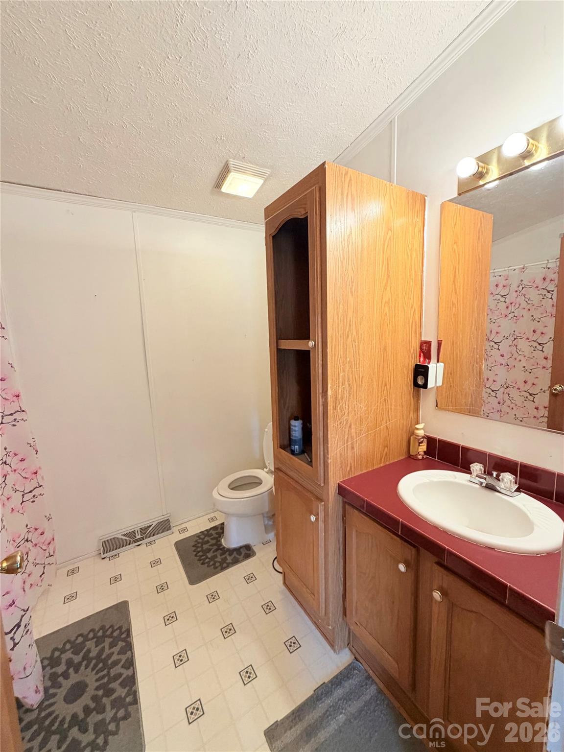 219 John E Randall Road Shelby, NC 28152 - Photo 16 of 21 a bathroom with a sink a toilet and shower
