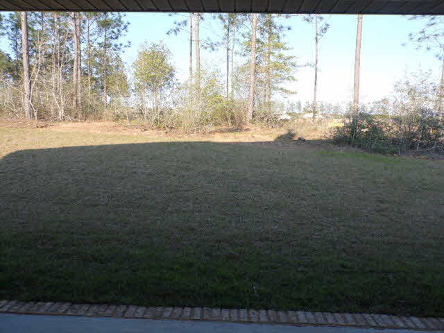 31452 Hoot Owl Road Daphne, AL 36527 - Photo 15 of 25 Rear Yard