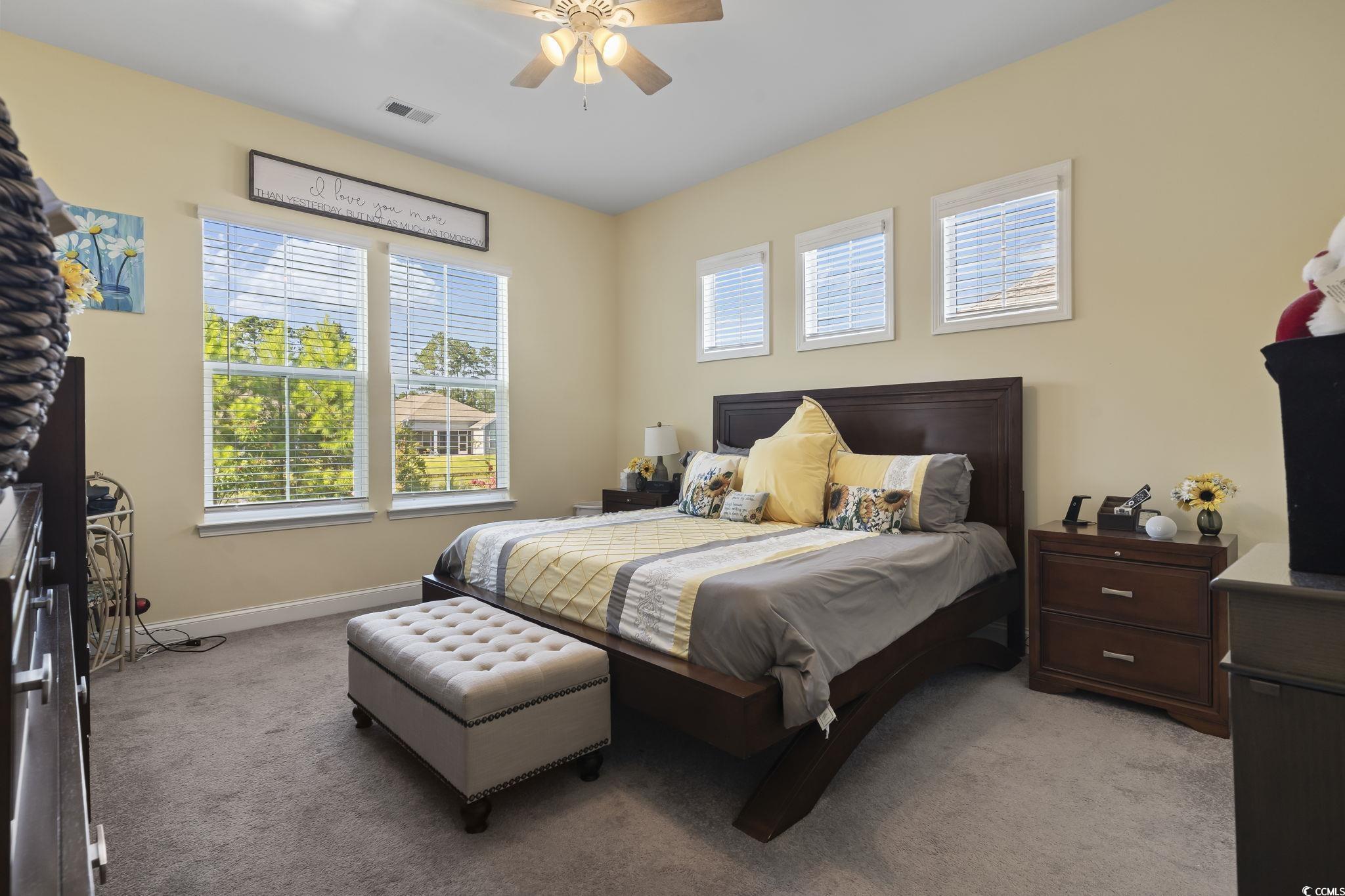 256 Yellow Rail Street Murrells Inlet, SC 29576 - Photo 21 of 40 Bedroom featuring ceiling fan and light carpet
