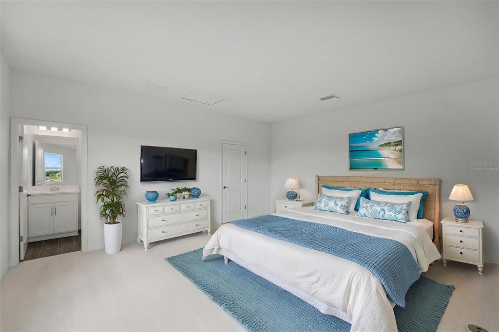 35163 Tuscan Hill Road Dade City, FL 33525 - Photo 36 of 45 a bedroom with a bed and a flat screen tv