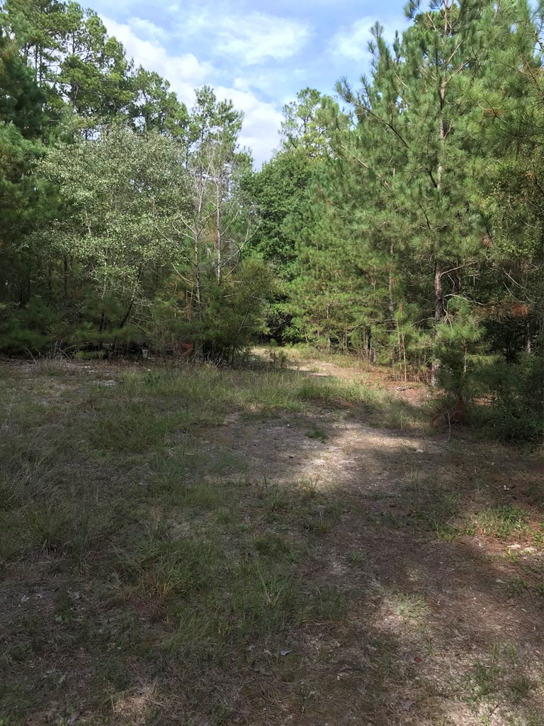 1022 Wrights Mill Road Aiken, SC 29801 - Photo 5 of 7