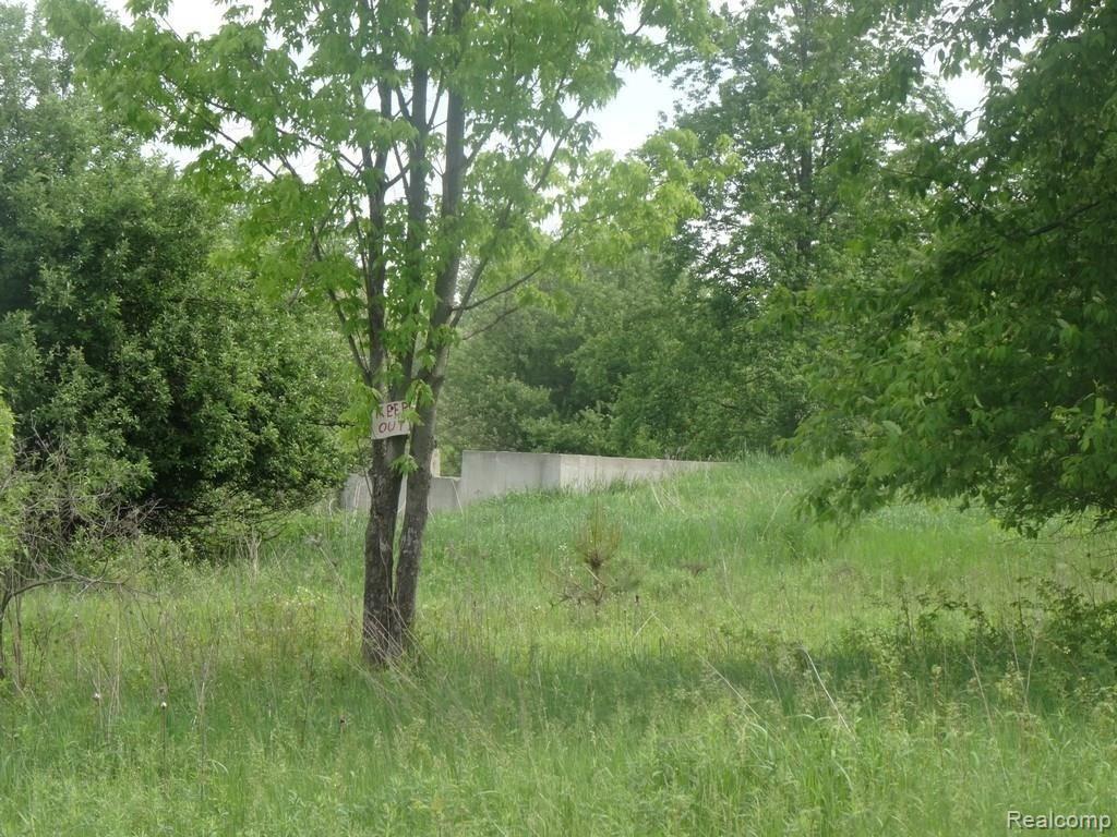 11145 Hill Road Goodrich, MI 48438 - Photo 9 of 22 Gallery Image 9