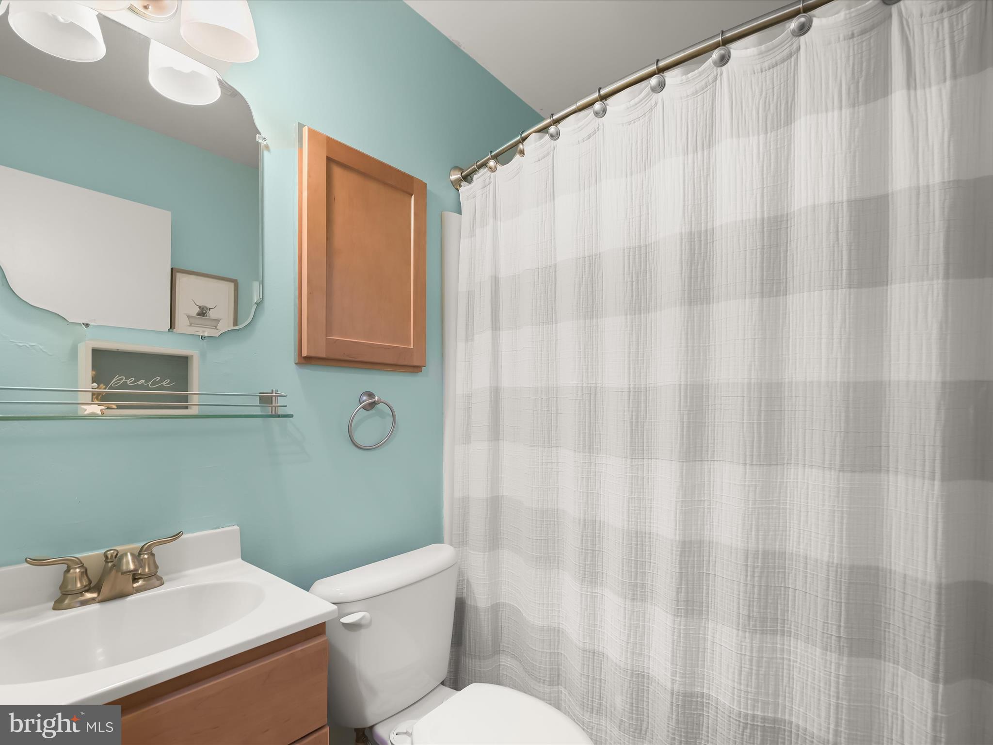 4950 Fleming Road Mount Airy, MD 21771 - Photo 33 of 64 a bathroom with a sink a toilet and shower curtain