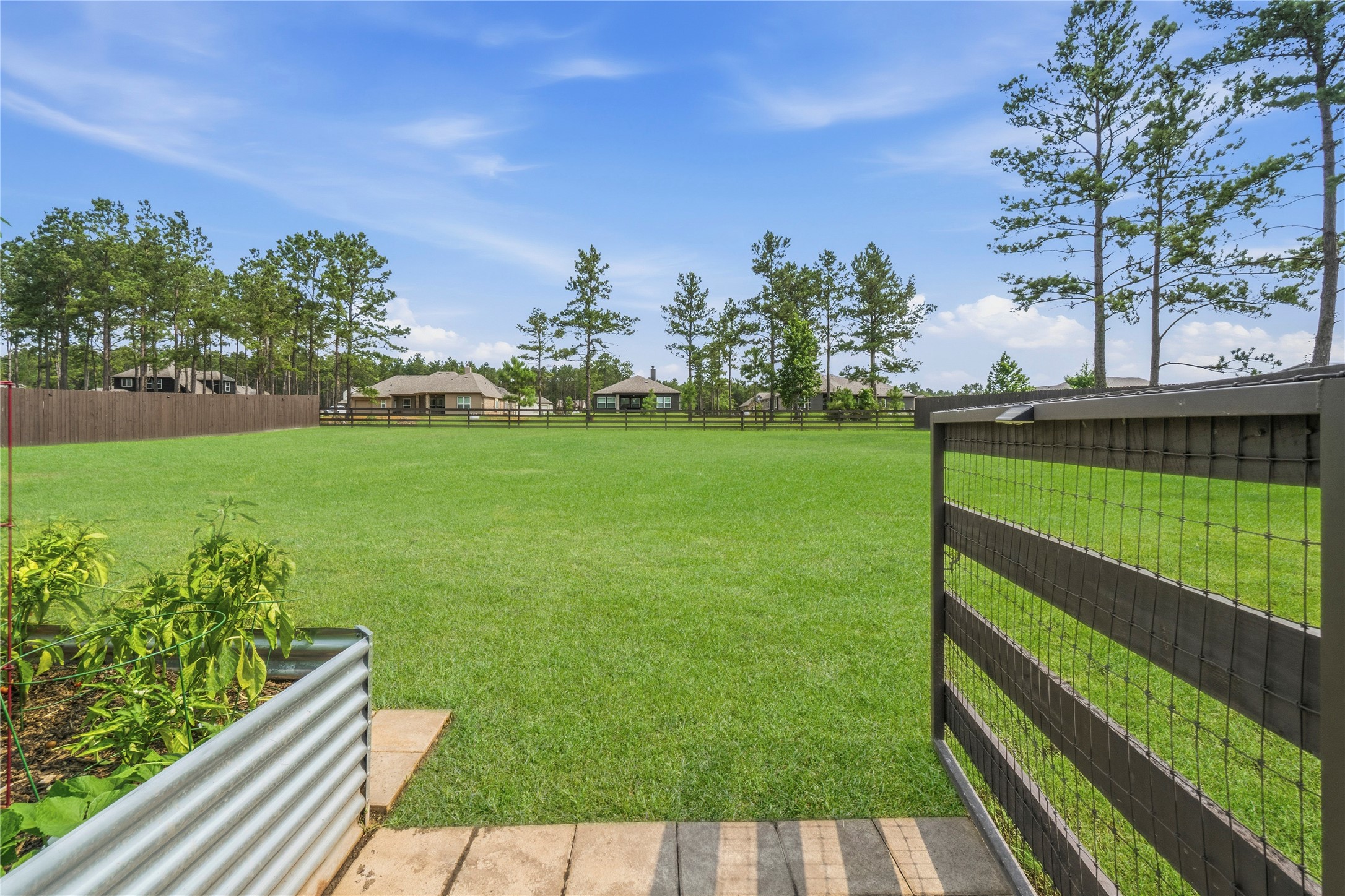 13447 Maverick Trail Road Conroe, TX 77303 - Photo 2 of 48 Step outside to an expansive backyard with endless possibilities—perfect for a future pool, workshop, garden, or simply enjoying wide-open space and peaceful views.