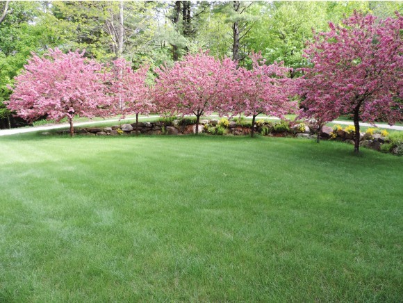 317 Old College Road Andover, NH 03216 - Photo 28 of 32