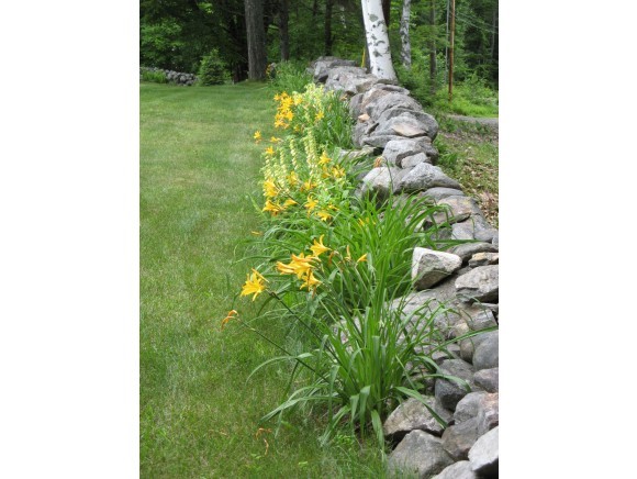 317 Old College Road Andover, NH 03216 - Photo 31 of 32