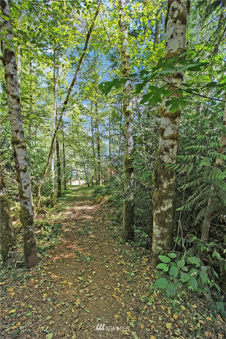 2341 North Cushman Ridge Drive Shelton, WA 98584 - Photo 17 of 21