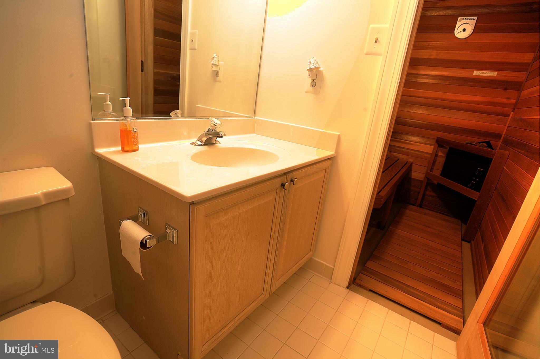 8154 Ridge Creek Way Springfield, VA 22153 - Photo 25 of 30 Bath #3 with sauna in Lower Level