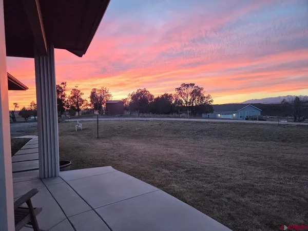 a view of a yard