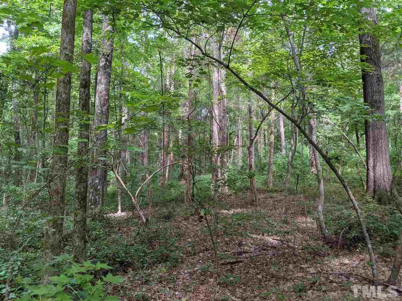 East Perry Road Pittsboro, NC 27312 - Photo 2 of 15 Gallery Image 2