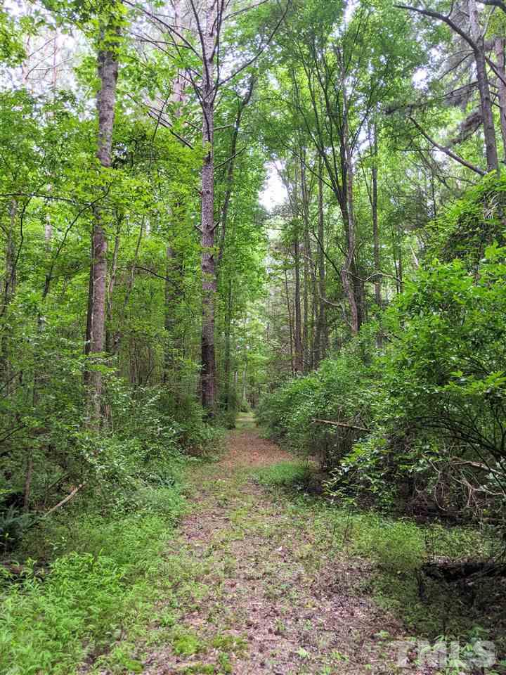 East Perry Road Pittsboro, NC 27312 - Photo 3 of 15 Gallery Image 3