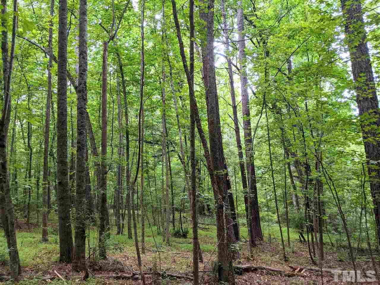 East Perry Road Pittsboro, NC 27312 - Photo 5 of 15 Gallery Image 5