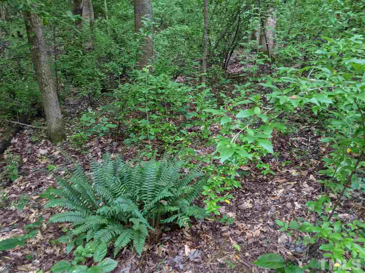 East Perry Road Pittsboro, NC 27312 - Photo 7 of 15 Gallery Image 7