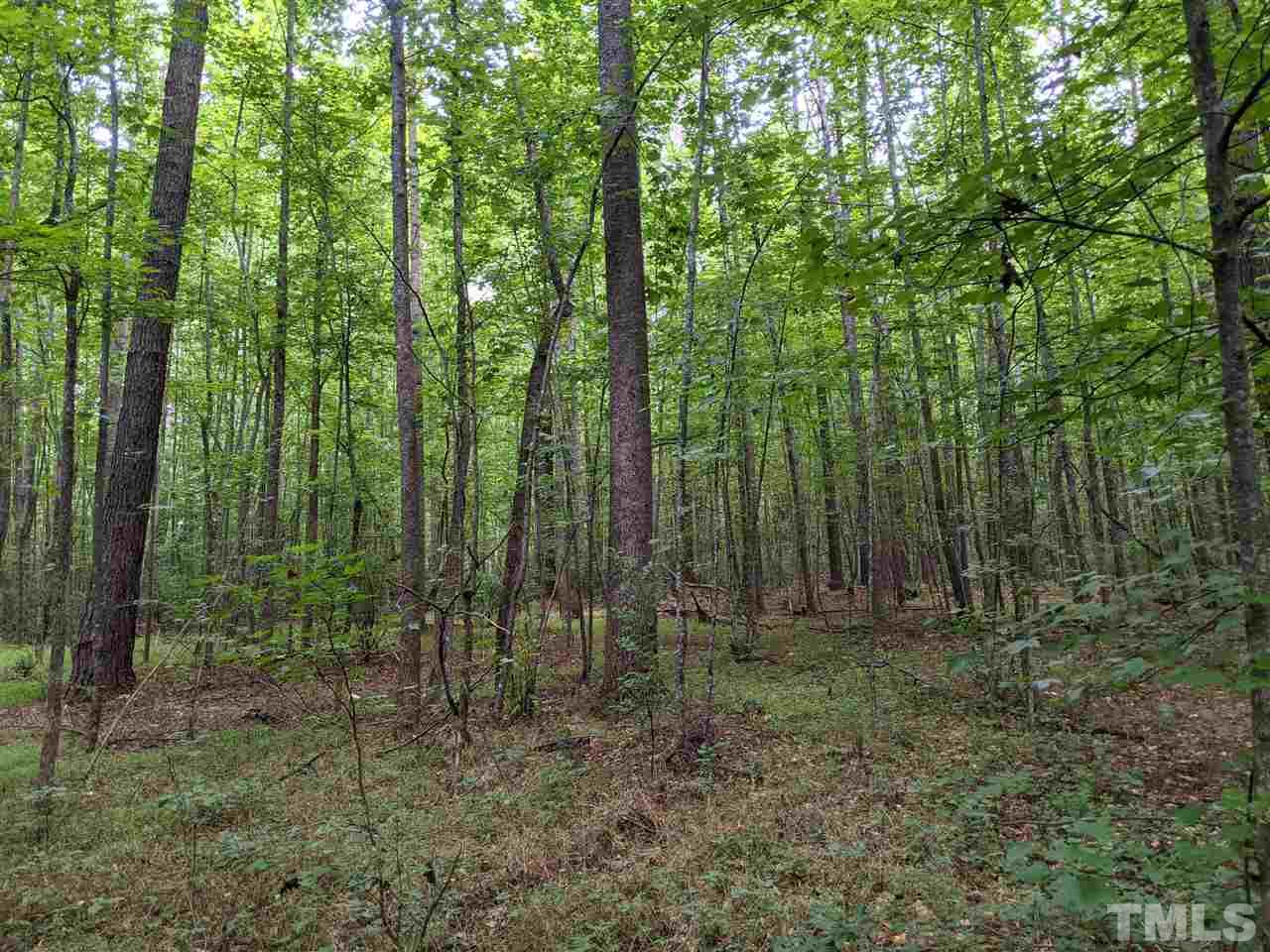 East Perry Road Pittsboro, NC 27312 - Photo 8 of 15 Gallery Image 8
