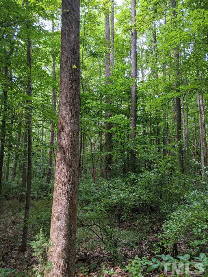 East Perry Road Pittsboro, NC 27312 - Photo 9 of 15 Gallery Image 9