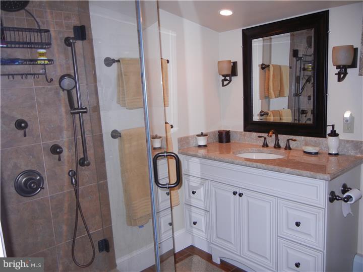 523 South Old Middletown Road Media, PA 19063 - Photo 12 of 25 Bathroom