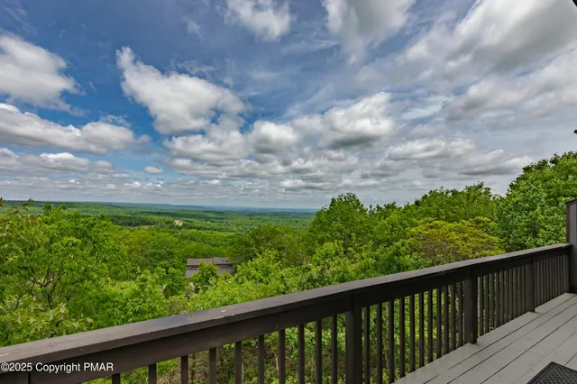 a view of a garden with wooden floor