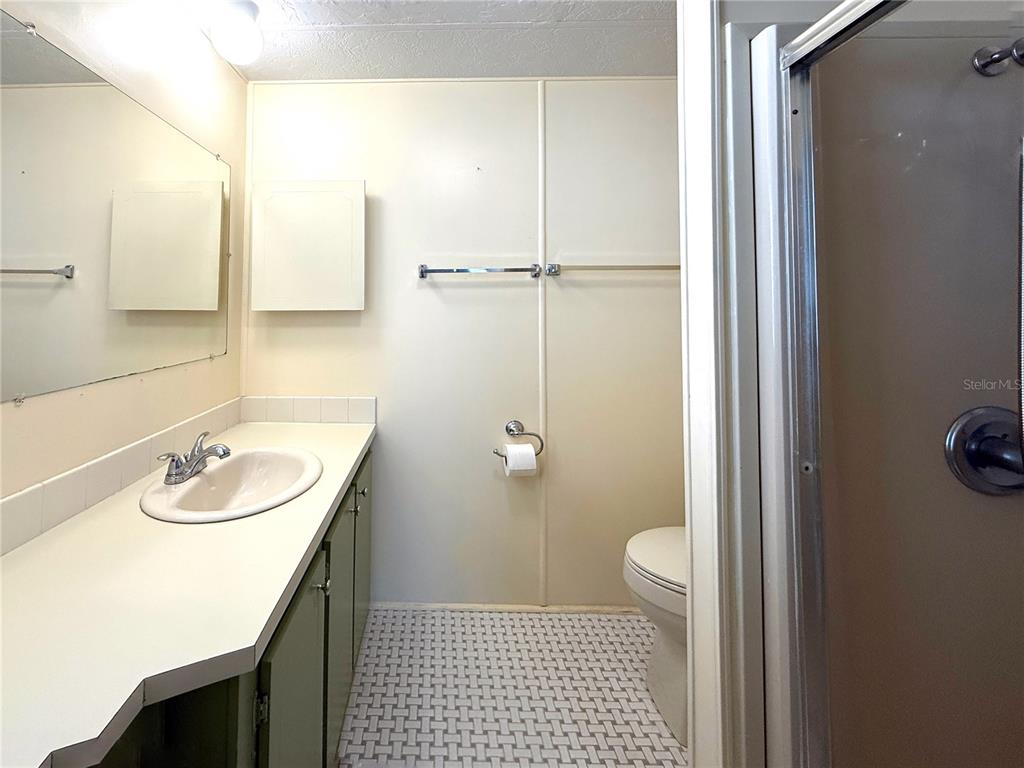 210 North St Thomas Circle Apollo Beach, FL 33572 - Photo 17 of 34 a bathroom with a sink a toilet a shower and a mirror