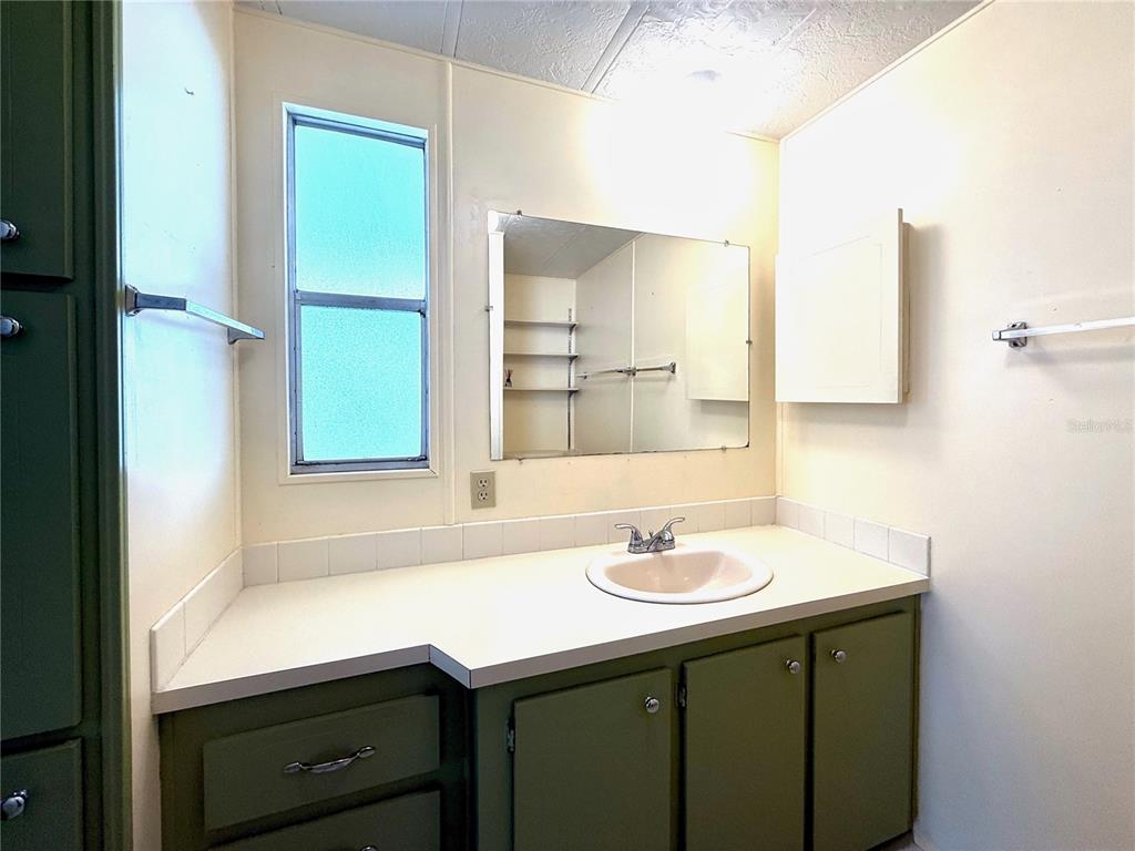210 North St Thomas Circle Apollo Beach, FL 33572 - Photo 18 of 34 a bathroom with a sink and a mirror