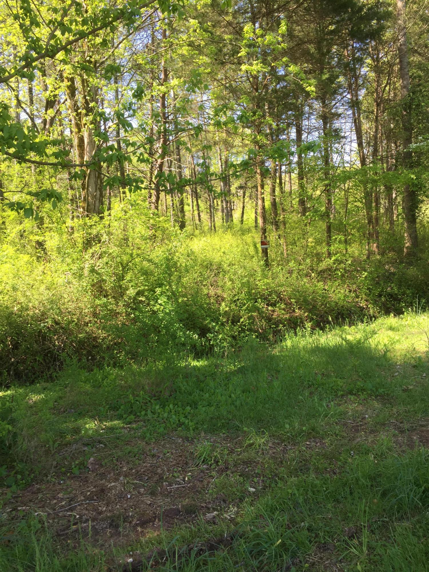 Block House Valley Road Clinton, TN 37716 - Photo 1 of 6 F2B7B2C4-389D-4A9A-8B86-2F3A234B9232