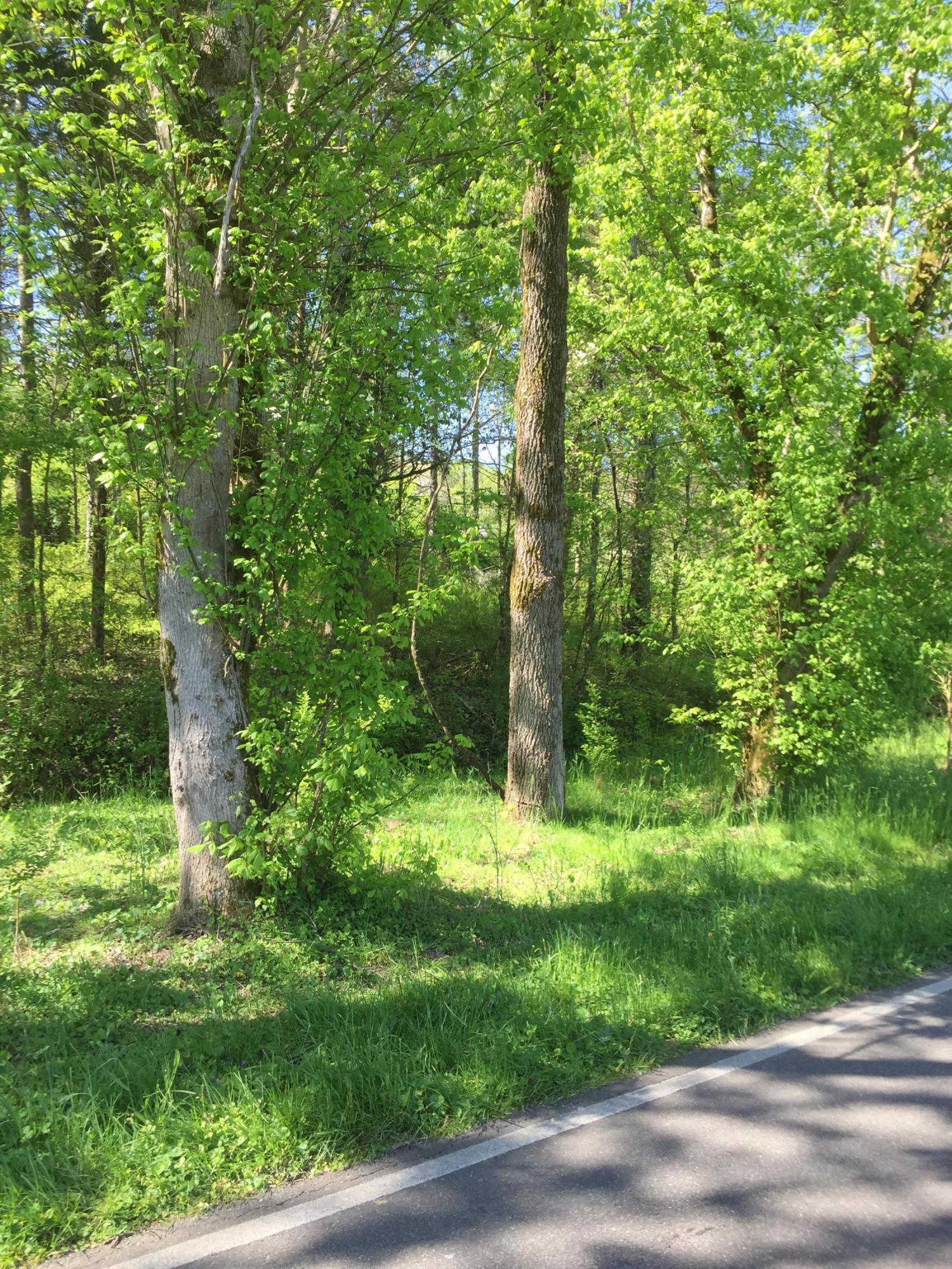 Block House Valley Road Clinton, TN 37716 - Photo 2 of 6 0D739045-D4B1-4B2D-8697-06A0B8C3EB24