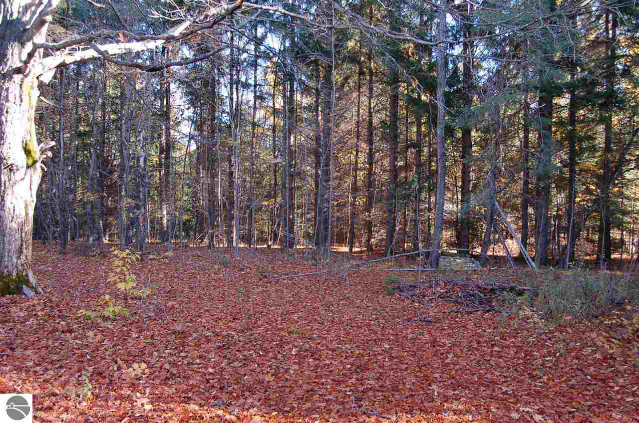 0 North Dundas Rd Rapid Alden, MI 49612 - Photo 1 of 12