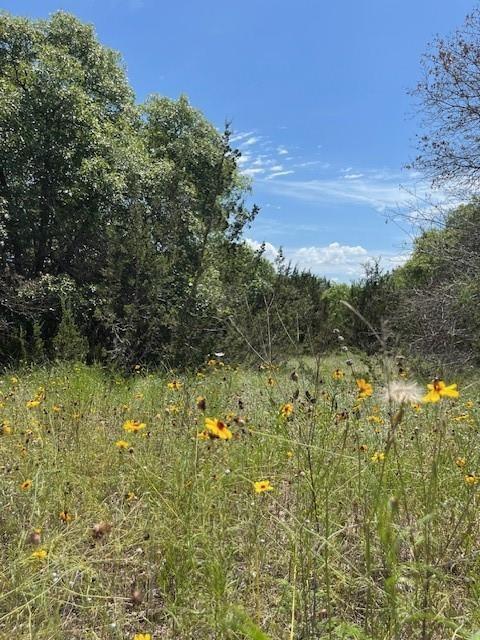 1015 Bluegill Ridge Bluff Dale, TX 76433 - Photo 19 of 19 Leading up to the seasonal lake from your property line