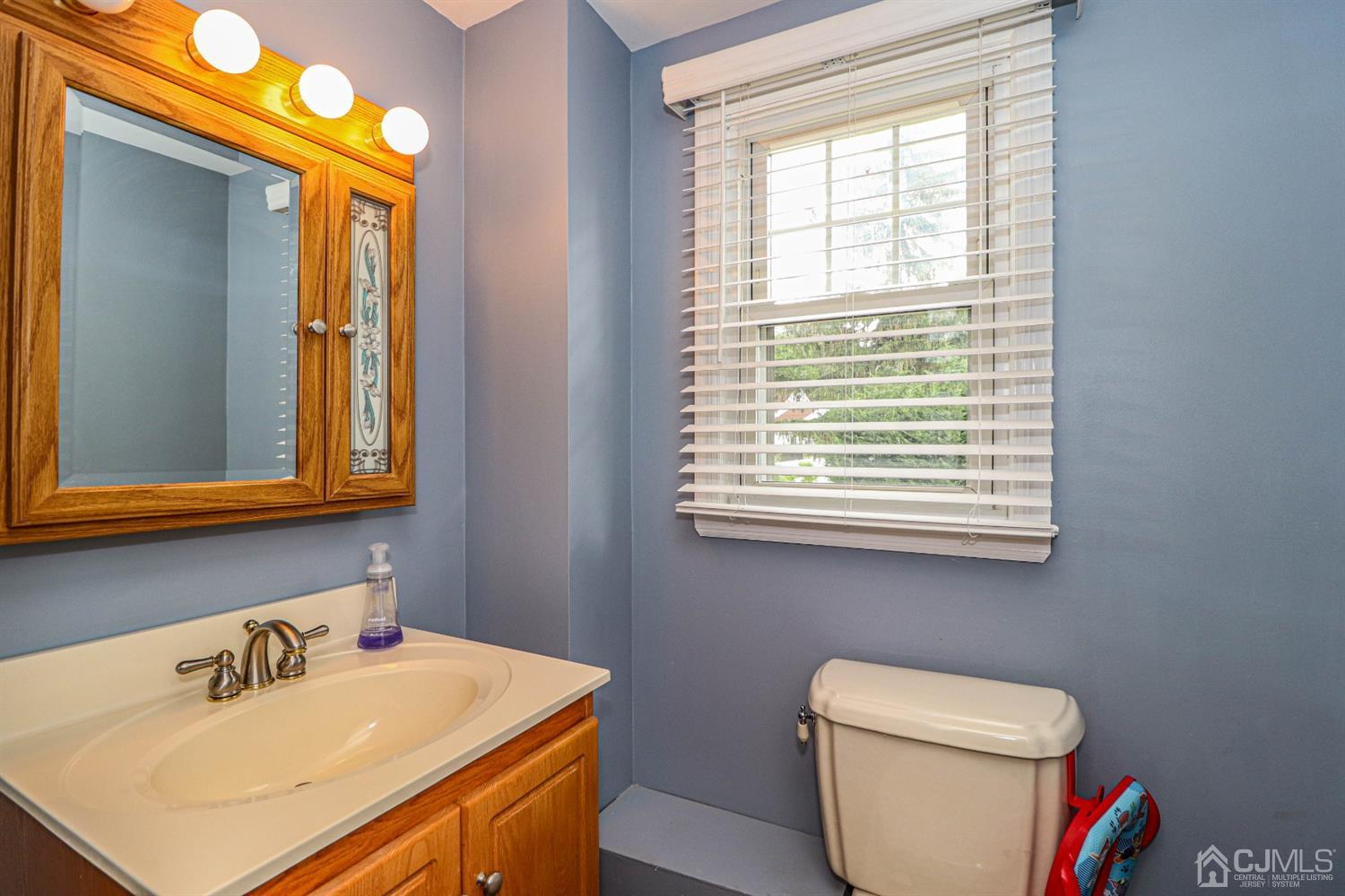 19 Wilcox Road New Brunswick, NJ 08901 - Photo 26 of 34 Gallery Image 26
