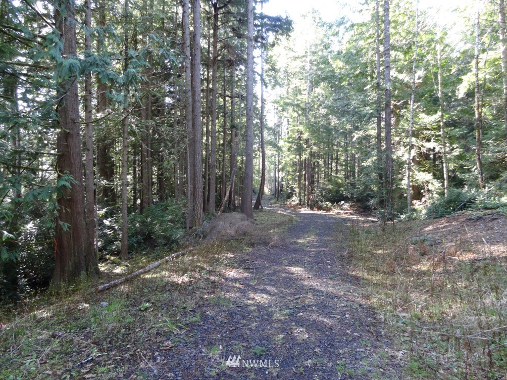 0 Northwest Stavis Bay Road Seabeck, WA 98380 - Photo 14 of 25 Gallery Image 14