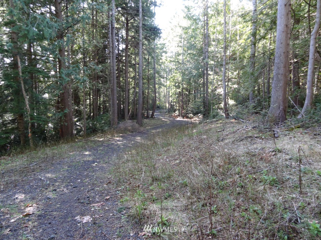 0 Northwest Stavis Bay Road Seabeck, WA 98380 - Photo 8 of 25 Gallery Image 8