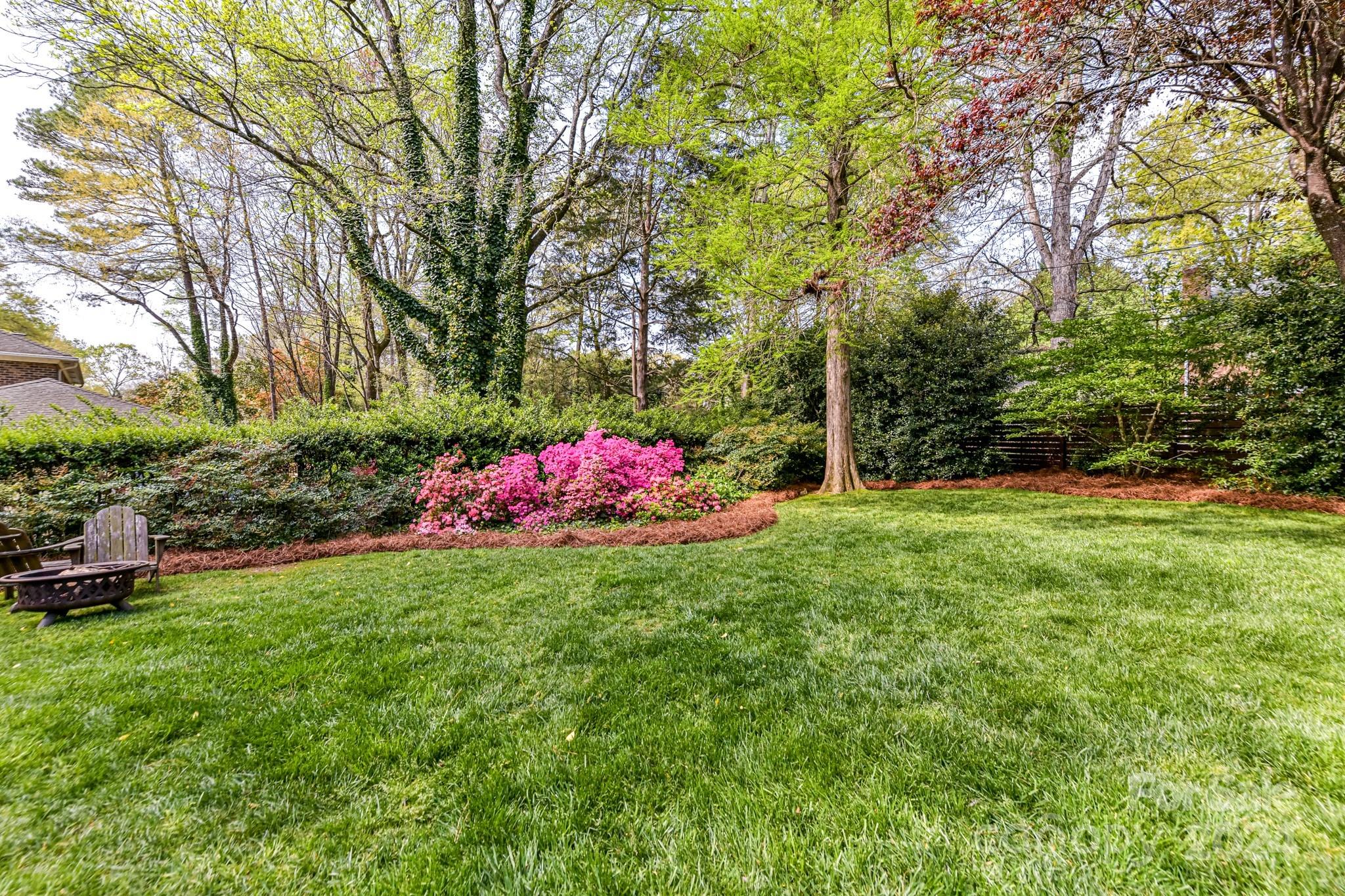 3026 Rustic Lane Charlotte, NC 28210 - Photo 35 of 39 a small garden covered with tall trees